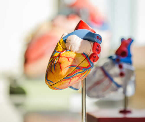 Webinar #11: COVID-19 and Heart Disease